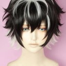 Saber Charlemagne Wig Cosplay