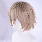 Saber Gawain Wig Cosplay