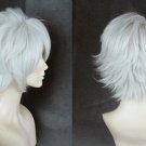 Shielder Galahad Wig Cosplay