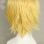 Caster Gilgamesh Wig Cosplay