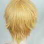 Saber Arthur Pendragon Wig Cosplay