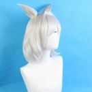 Caenis Lancer Wig Cosplay