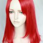 Archer Sir Tristan Wig Cosplay
