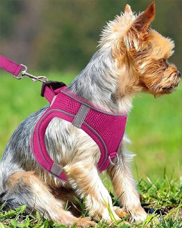Breathable Reflective Dog Harness Easy Step-In Safety Vest Pink / Green / Gray / Black USG