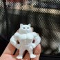 Mini Muscular Cat Figurine &acirc;�� Small Decorative Animal Statue for Desk and Shelf