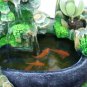LED Feng Shui Water Fountain â Indoor Tabletop Waterfall with Color-Changing Mist Light