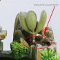 LED Feng Shui Water Fountain â Indoor Tabletop Waterfall with Color-Changing Mist Light
