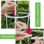 Climbing Plant Trellis Cage for Pots &acirc;�� Garden Support Frame for Vines and Flowers