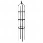 Climbing Plant Trellis Cage for Pots &acirc;�� Garden Support Frame for Vines and Flowers