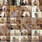 JUST-A-TOUCH..VOLUME.23
