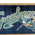MiLB Greensboro Grasshoppers Flag 3*5ft (90cm*150cm) Polyester