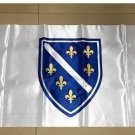 Flag of Bosnia and Herzegovina 1992-1998 3*5ft (90cm*150cm) Polyester flag