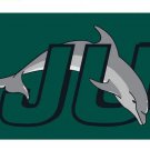 NCAA Jacksonville University Launches Flag 3*5ft (90cm*150cm) Polyester flag