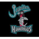 Jupiter Hammerheads Flag 3*5ft (90cm*150cm) Polyester