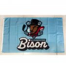 ECHL Bloomington Bison Polyester Flag - Outdoor Home Decorative Bunting for Sports Fans