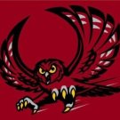 Temple Owls Club Sport Flag 3X5ft Banner USA Polyester with 2 Brass Grommets