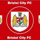 Bristol City Football Club Flag 3x5ft Polyester Banner Red