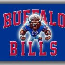 Custom Football Team Memorable Flag 90x150cm 3x5ft Bills Fans Home Decor Banner