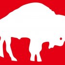 Buffalo Bills Flag 3x5ft Banner Polyester American Football bills030
