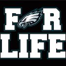 Philadelphia Eagles Flag 3x5ft Banner Polyester American Football eagles046