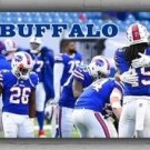 Custom Football Team Memorable Flag 2x8ft 60x240cm Bills The Best