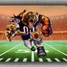 Custom Football Team Memorable Flag 2x8ft 60x240cm Bears Mascot Decor Banner