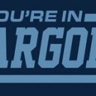 Toronto Argonauts Football Team Banner 60x240cm2x8ft You're in Argonauts Country