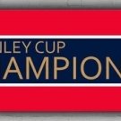 Florida Hockey Team Home Decor Flag 2x8ft 60x240cm Panthers Champion