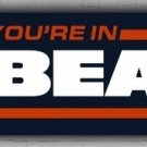 Football Team Memorable Custom Flag 2x8ft 60x240cm Bears Country