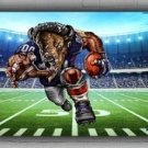 Custom Football Team Memorable Flag 2x8ft 60x240cm Bills Mascot