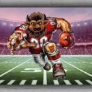 Football Team Memorable Custom Flag 2x8ft 60x240 Hoosiers Fan Mascot Best Banner