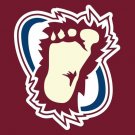 Colorado Avalanche Flag 3x5ft Banner Polyester Ice Hockey Stanley Cup 011 Colorado Avalanche Flag 3x5ft Banner Polyester Ice Hockey Stanley Cup 011