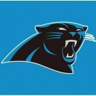 Carolina Panters Flag 3x5ft Banner Polyester American Football panthers032