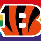 Cincinnati Bengals Pride Flag 3x5ft Banner Polyester American Football bengals41 Cincinnati Bengals Pride Flag 3x5ft Banner Polyester American Football bengals41