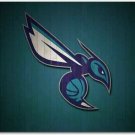 Charlotte Hornets Flag 3x5ft Banner Polyester Basketball hornets016