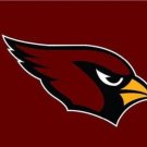 Arizona Cardinals Logo Two Strip Sport Flag 3x5ft