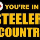 Pittsburgh Steelers Sports Banner Flag 3x5ft Pittsburgh Steelers Sports Banner Flag 3x5ft