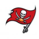 Tampa Bay Buccaneers Sports Banner Flag 3x5ft Tampa Bay Buccaneers Sports Banner Flag 3x5ft