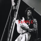 Jimi Hendrix 1967 Concert Photo 8x10