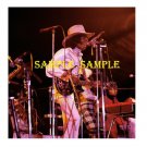 SLY & THE FAMILY STONE 1970's Live Concert Photo 8x10
