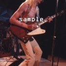 JOHNNY WINTER 1973 Live Concert Photo 8x12 JOHNNY WINTER 1973 Live Concert Photo 8x12