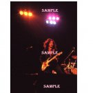 Rory Gallagher 1979 Palladium Theatre NYC Concert Photo 8x10 Rory Gallagher 1979 Palladium Theatre NYC Concert Photo 8x10