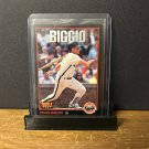 1993 Triple Play Craig Biggio #100