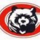 CHICAGO BEARS FOOTBALL CARDS