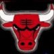 CHICAGO BULLS  CARDS