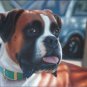 dog-oil painting