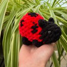 Ladybugs