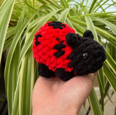 Ladybugs
