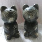 Japan Teddy Bear Salt and Pepper Shakers Japan Teddy Bear Salt and Pepper Shakers