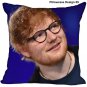 Ed Sheeran Pillow Case Home Bedroom Office Decoration Room Cushion Birthday Gift